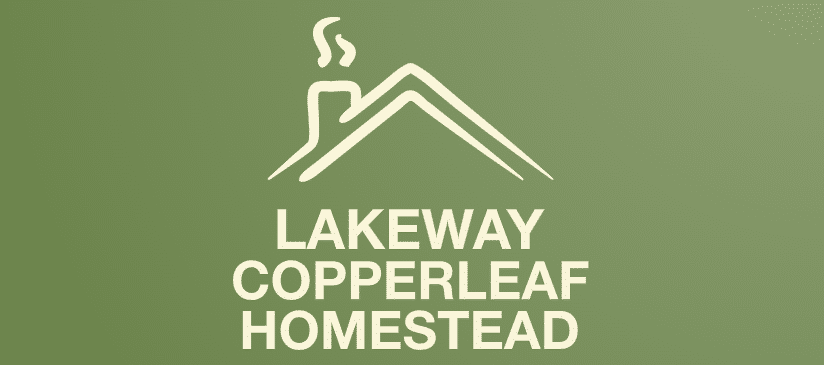 Lakeway Copperleaf Homestead